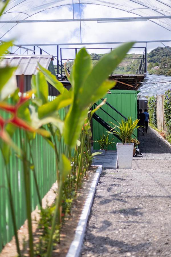 Hotel Glamz Hills Cameron Highlands Esterno foto