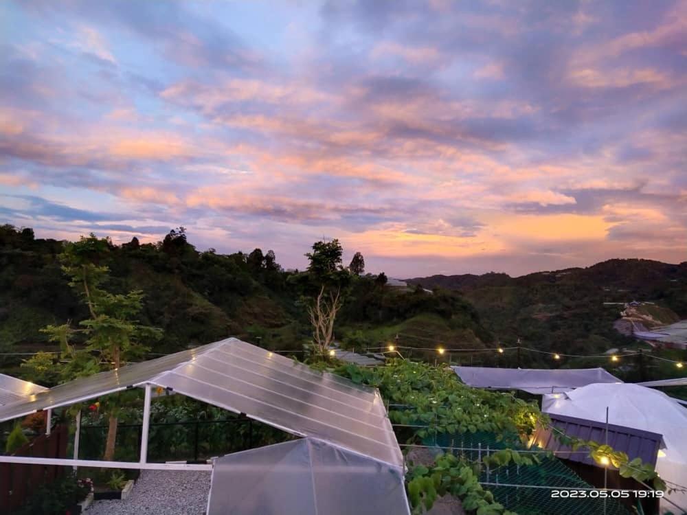 Hotel Glamz Hills Cameron Highlands Esterno foto
